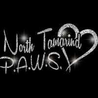 GLT6 SILVER GLITTER Thumbnail