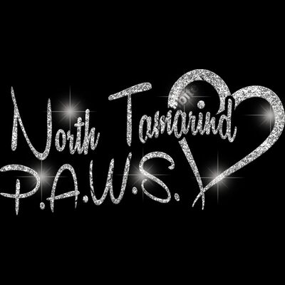 GLT6 SILVER GLITTER Thumbnail