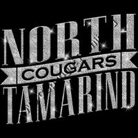 GLT57 SILVER GLITTER Thumbnail