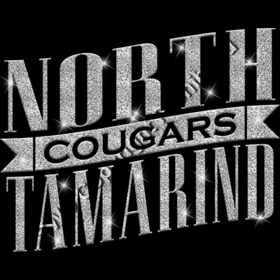 GLT57 SILVER GLITTER Thumbnail