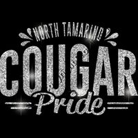 GLT62 SILVER GLITTER Thumbnail