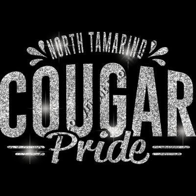 GLT62 SILVER GLITTER Thumbnail